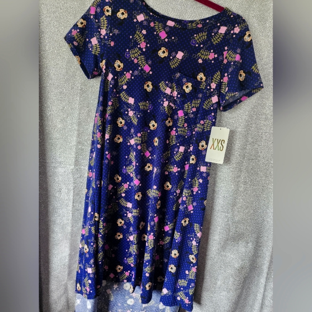XXS -lula Roe Dress
